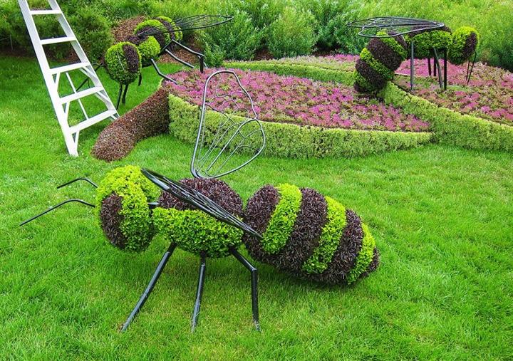 立体花坛-蚂蚁